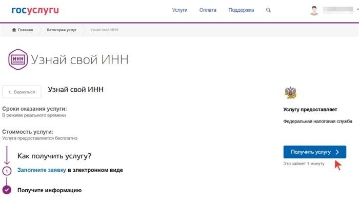 Как определить свой ИНН через Госуслуги с использованием информации из паспорта?