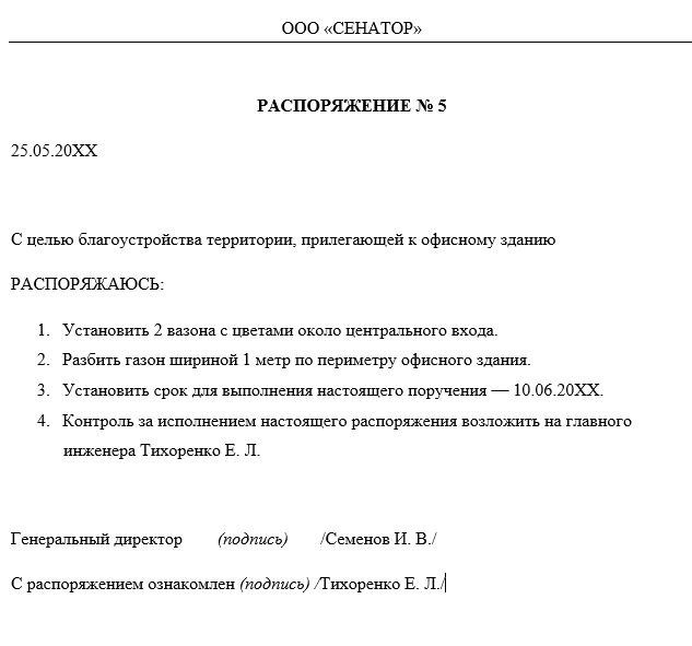 пример того, что может быть распоряжение главы компании